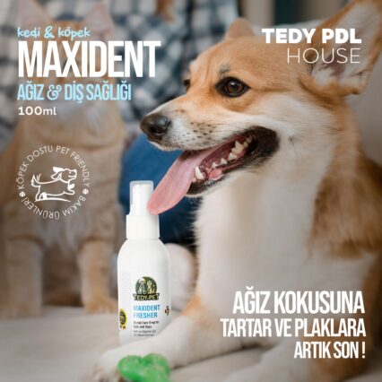 TedyPet Ağız & Diş Sağlığı Spreyi – Ferah Nefes, Sağlıklı Dişler!