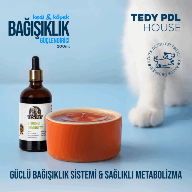 TedyPet Bağışıklık Güçlendirici – Kedi & Köpekler İçin Doğal Vitamin Desteği!